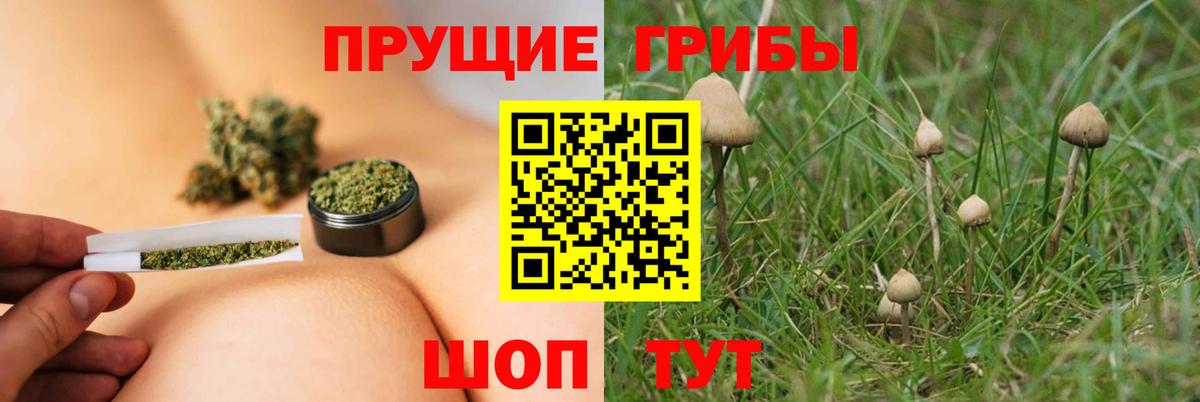 Псилоцибиновые грибы Psilocybine cubensis  Галлюциногенные грибы Cubensis  Вход с VPN  Тара 